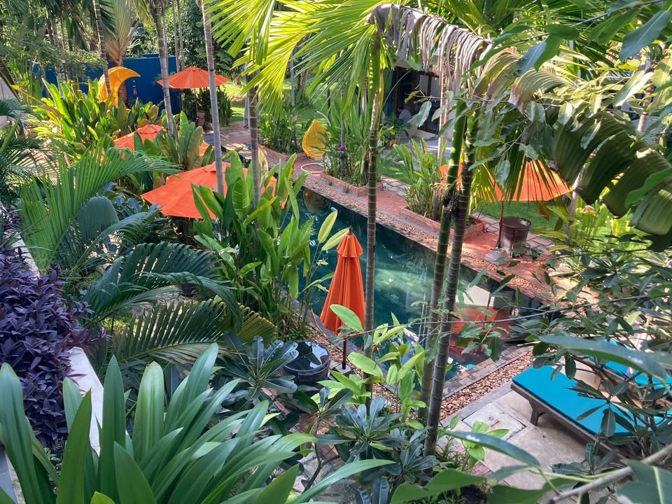 Tropical garden and shared pool at Enchanted Garden Villas